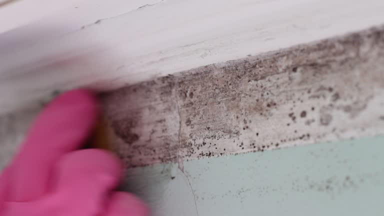 Best Residential Mold Inspection & Testing  in Garrison, TX